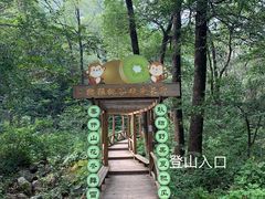 -大岭沟猕猴桃谷风景区