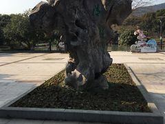 -宝岩生态观光园