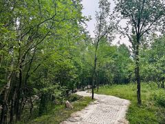 -玉渡山自然风景区