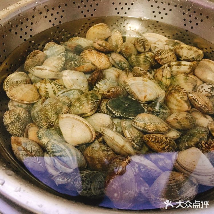 懒人方法简单做花蛤,餐桌百变海鲜桌