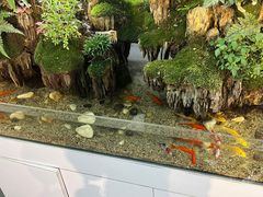 -银涛高尔夫练习场(徐泾店)