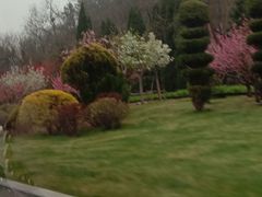 -棒棰岛宾馆景区