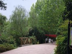 -扬州天乐湖嬉乐谷