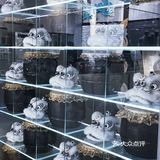 我愿承认这家是斩女的柠檬茶店太好拍了吧