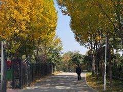 -商丘市人民公园