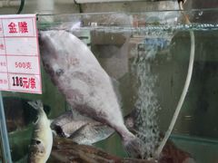 -祈胜邨•顺德鱼生•顺德菜(容桂店)