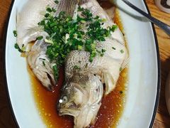 葱油鲈鱼-新白鹿餐厅(百联中环店)