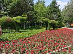 -长白岛森林公园