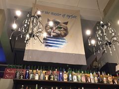 -猫咪博物馆(顶澳仔猫街店)