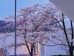 -上海辰山植物园