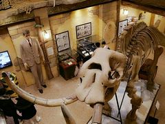 -信不信由你博物馆