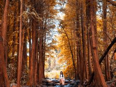 -马峦山郊野公园