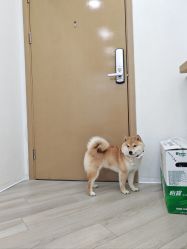 -HEYAN荷妍专业脱毛连锁机构