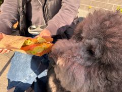 -Dough&Joe团憩(瑞虹天地月亮湾店)