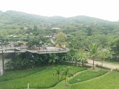 -海南槟榔谷黎苗文化旅游区