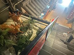 -肖记公安牛肉鱼杂馆· 省级非物质文化遗产(仁和路店)