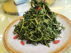 清香枸杞苗-国强手抓(北京西路店)
