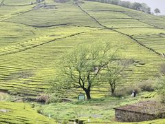 -浙江万里学院(钱湖校区)