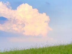 -三圣花乡旅游区