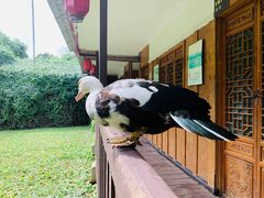 -晓雯人家