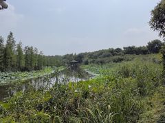 -同里国家湿地公园