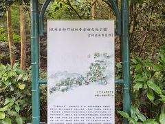 -云栖竹径