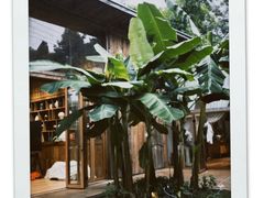 -柠檬花院烤肉·会议团建·聚会·求婚(三圣乡店)