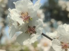 -木塔寺遗址生态公园
