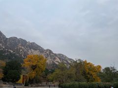 -北京凤凰岭