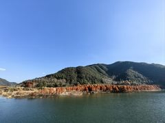 -小芝红树林