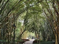 -晓港公园
