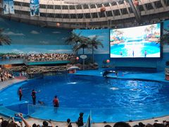-海合安成都极地海洋公园