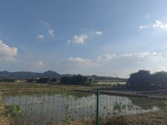 -光明小镇欢乐田园