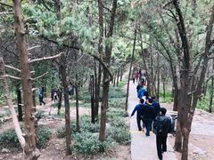 -云龙山