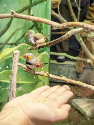 -Zoolung Zoolung动物主题公园(海信广场店)