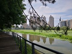 -月湖风景区