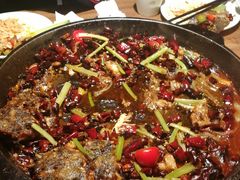 -老板恋上鱼(印象城店)