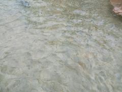 -国信南山温泉
