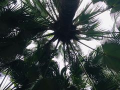 -北海市海滨公园