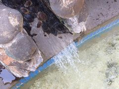 -庐山天沐温泉度假村