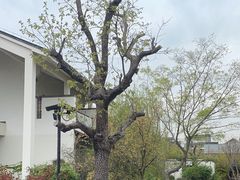 -广富林宰相府酒店·水云间