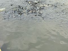 -汤泊温泉度假村