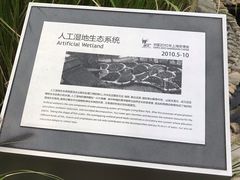 -活水公园