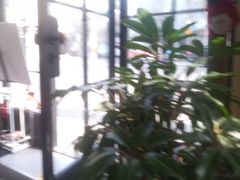 -Fridi Patisserie Cafe