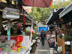 -曲阳花鸟市场(曲阳路店)