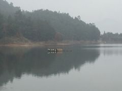 iphone_upload_pic-千岛湖龙川湾