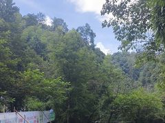 -石台牯牛降景区