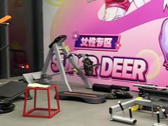 -超鹿运动(五四路恒力城店)