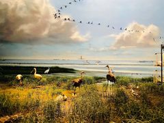 -中国湿地博物馆