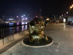 -星光大道